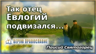 🔴 Паисий Святогорец, преподобный - Отцы-святогорцы и святогорские истории - Отец Евлогий