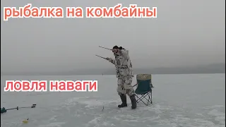 Зимняя рыбалка 2022.как поймать навагу.Ловля наваги.Жизнь в Приморье.