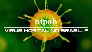 NIPAH VIRUS: WHAT ARE THE CHANCES OF THE DEADLY VIRUS GETTING TO BRAZIL?