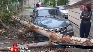 Из за сильного ветра в Челябинской области на прохожего рухнуло дерево