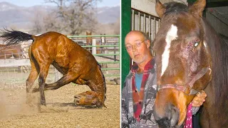 Big Winner Nearly Dies On The Way To Slaughter, But Then A Miracle Happened