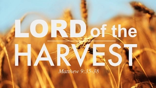 The HARVEST is PLENTIFUL but the LABOURERS are FEW - Matthew 9:35-38