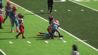 2020 Tri county 8u Superbowl Plant City Dolphins vs Eastbay Bucs