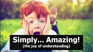 Simply... Amazing! (the joy of understanding)