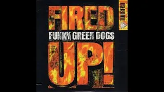 Funky Green Dogs - Fired Up (2023) - Dj Ari Exclusive  Mashup