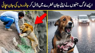 Animals That Asked People for Help In Hindi/Urdu