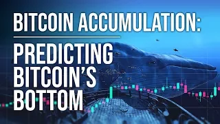 Tuur Demeester - Bitcoin Accumulation & Predicting The Bottom