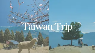 A Week in Taiwan | Exploring Taipei and Taichung, Cherry Blossoms, Qingjing Farm, Street food