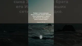 Марка 1:16-20 (ИПБ) #biblevision