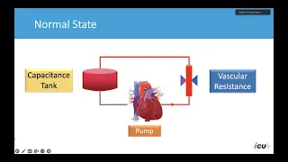 Shock Syndromes