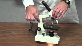 How to Use a Microscope