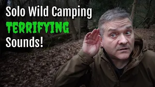Solo Wild Camping in the UK | Identify Animal Noises You'll Hear at Night