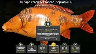 БЕЗУМНЫЙ ТРОФЕЙНЫЙ КАРПФИШИНГ на Янтарном Озере СТРИМ РУССКАЯ РЫБАЛКА 4 РР4