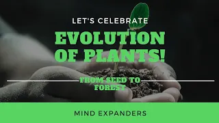 "From Seed to Splendor: The Remarkable Evolution of Plants 🌱