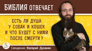 Есть ли душа у собак и кошек и что будет с ними после смерти ? Священник Валерий Духанин. Библия