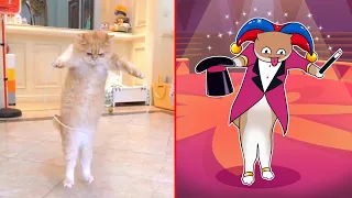 Cat Memes: TADC The Amazing Digital Circus 😹😅 New Funny Cats and Dogs Videos 2024😸🐶 part 64