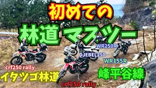 【 林道 ツーリング 】林道最強！WR155Ｒ ガチのオフ車についていけるのか？【 モトブログ 】