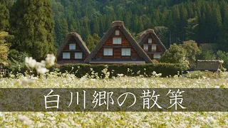 【日本三大秘境】白川郷の散策 : Walking Around Shirakawa-go（Gifu, Japan）