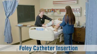 Level 1 - Foley Catheter Insertion