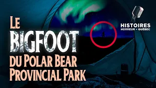 HHQ | Le Bigfoot du Polar Bear Provincial Park