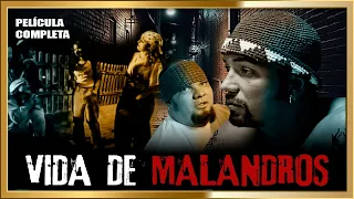 VIDA DE MALANDROS Las mejores Peliculas de accion completas