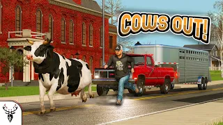 LOOK OUT! | My Cows Got Out!