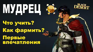 МУДРЕЦ: Скилы, фарм и первые впечатления - НЕ гайд в BDO - Black Desert (MMORPG)