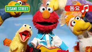 엘모와 오리들 (Elmo's Ducks) | Sesame Street Korean | 세서미 스트리트 한국어