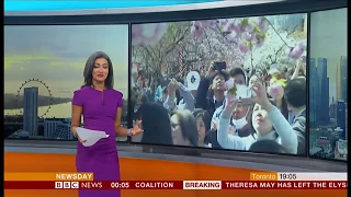 People enjoying the Cherry Blossoms (Japan) - BBC News - 10th April 2019