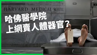 哈佛醫學院上網賣人體器官？人頭、皮膚到胎兒竟都在臉書販售？為何在美販賣人體遺骸竟不完全違法？【TODAY 看世界】