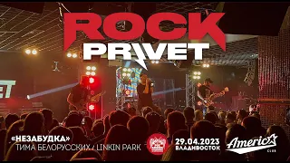 ROCK PRIVET - Незабудка (Live • Владивосток • 29.04.2023)