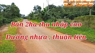 186) Bán 2ha Nguồn Thu Mạnh Mặt Tiền Đường Nhựa Giá 3 Tỷ