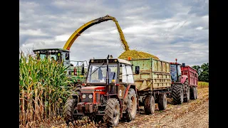 SILÁŽE 2021//ZOD Živanice//JOHN DEERE//CORN HARVEST