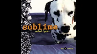 Sublime - What I Got (Vocal Cover)