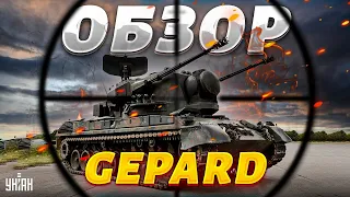 Натовский зверь удивил! Полный обзор на Gepard. Уникальные кадры из кабины зенитки