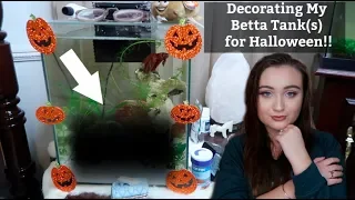 DECORATING MY BETTA FISH TANKS FOR HALLOWEEN!! | ItsAnnaLouise