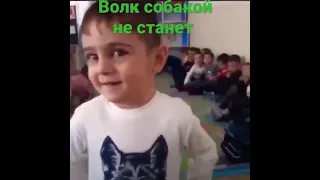 волк собакой не станет! чеченские дети (волчат) подрастаеют