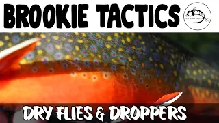 Fly Fishing TACTICS for COLORFUL Fall Brook Trout