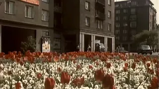 Bratislava plná kvetov (1975)