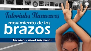 Brazos en Flamenco - Iniciación - TUTORIALES FLAMENCOS