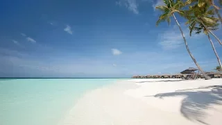 10 Best 5-star Beach Hotels and Resorts in Maldives