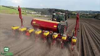 Maize Drilling 2021 Vaderstad Tempo F8 🚜🚜