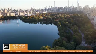 NYC is sinking, by how much?