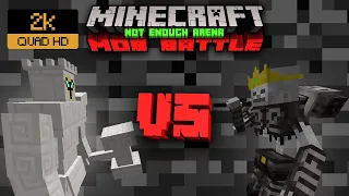 ROOK VS SKELETON KING | Minecraft Mob Battle