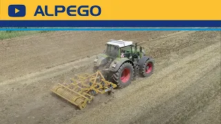 Rigid cultivator ALPEGO Cayman CA Top-Spring