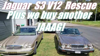 EP11 Jaguar Series 3 v12 Rescue. Plus a surprise new buy!