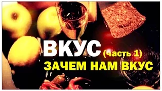 Галилео. Вкус (часть 1): Зачем нам вкус?