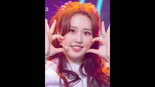 ILY:1(아일리원) - Love In Bloom(사랑아 피어라) [Music Bank] | KBS WORLD TV 220408