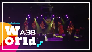 Csángálló - Gyimesi férfi szív // Live 2017 // A38 World