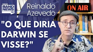 Reinaldo: Vídeo de Damares e uma nova espécie